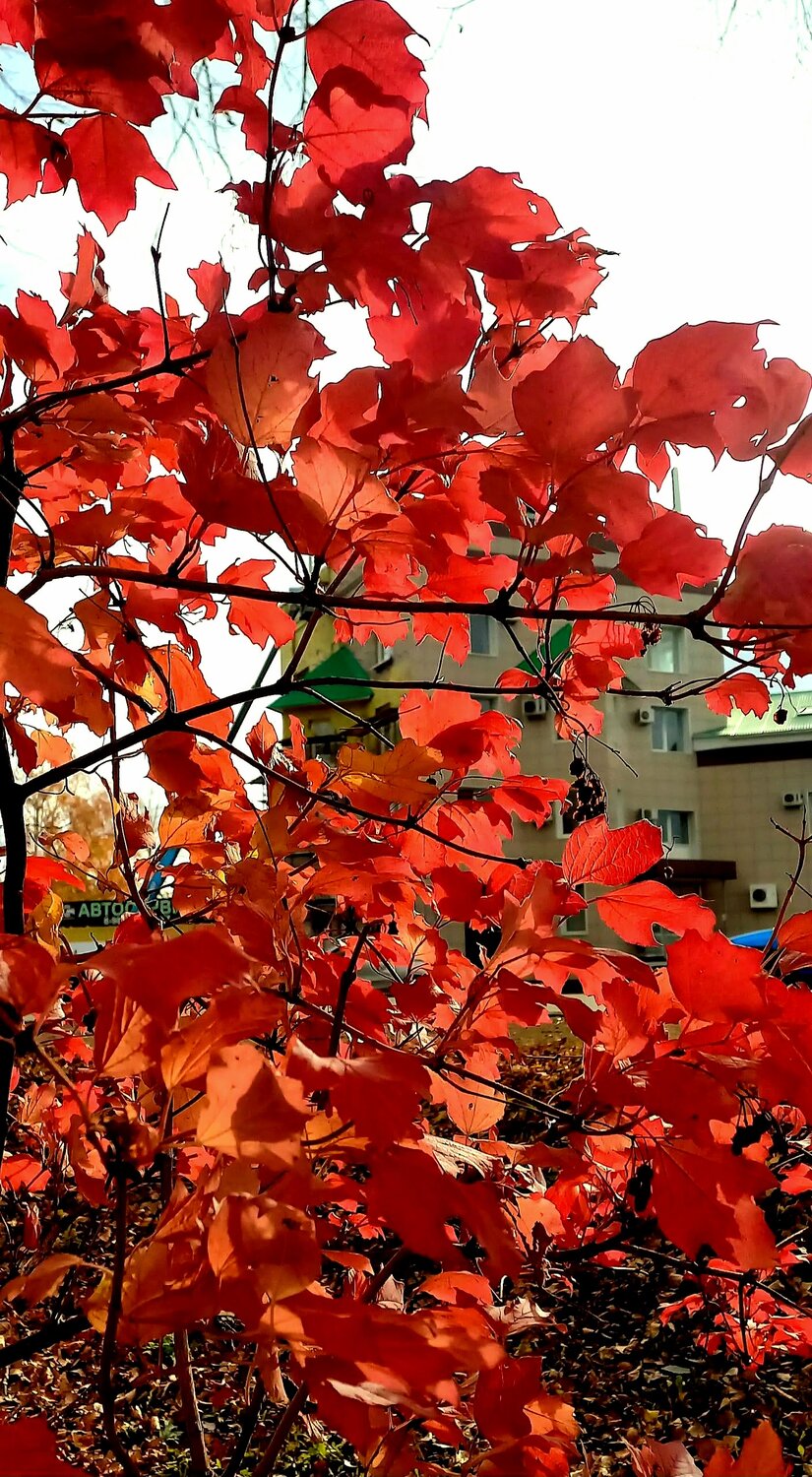 Photo #14117776