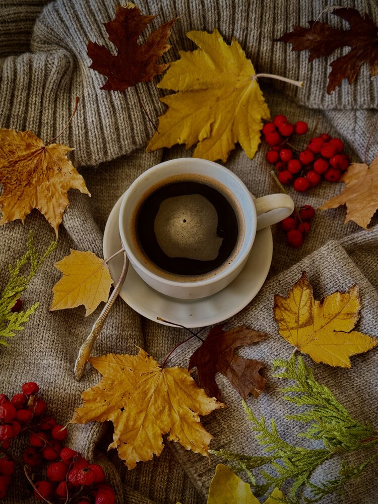 Photograph by Алена Ходатович