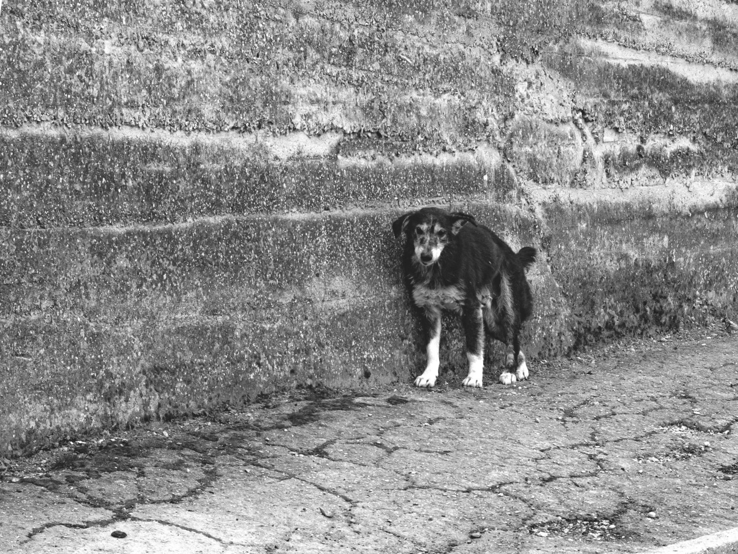 Photo #14118040