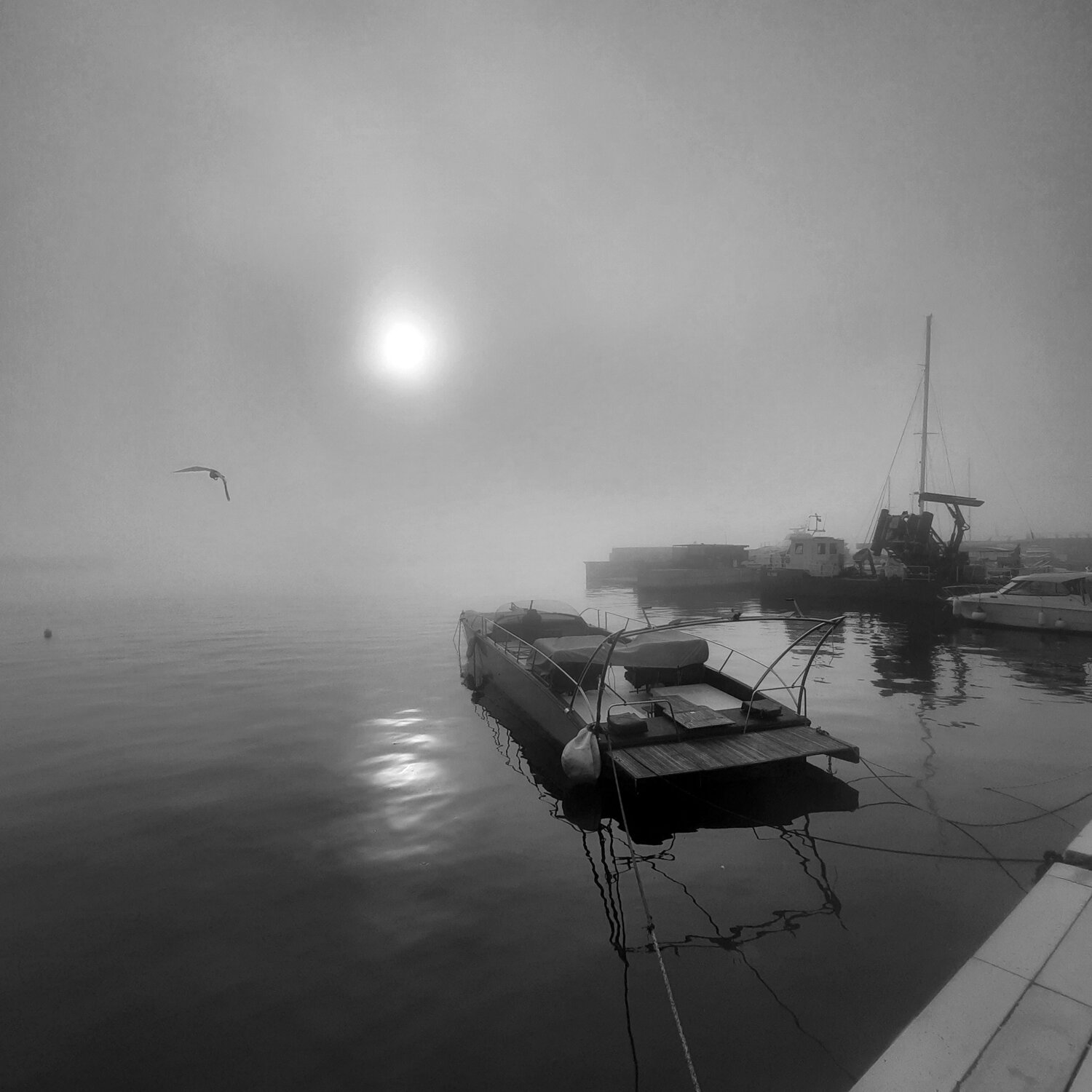 Photo #14118057