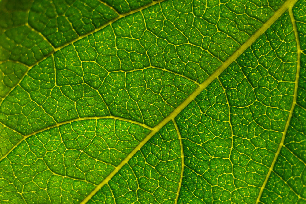 Photograph by Шпирко Михаил