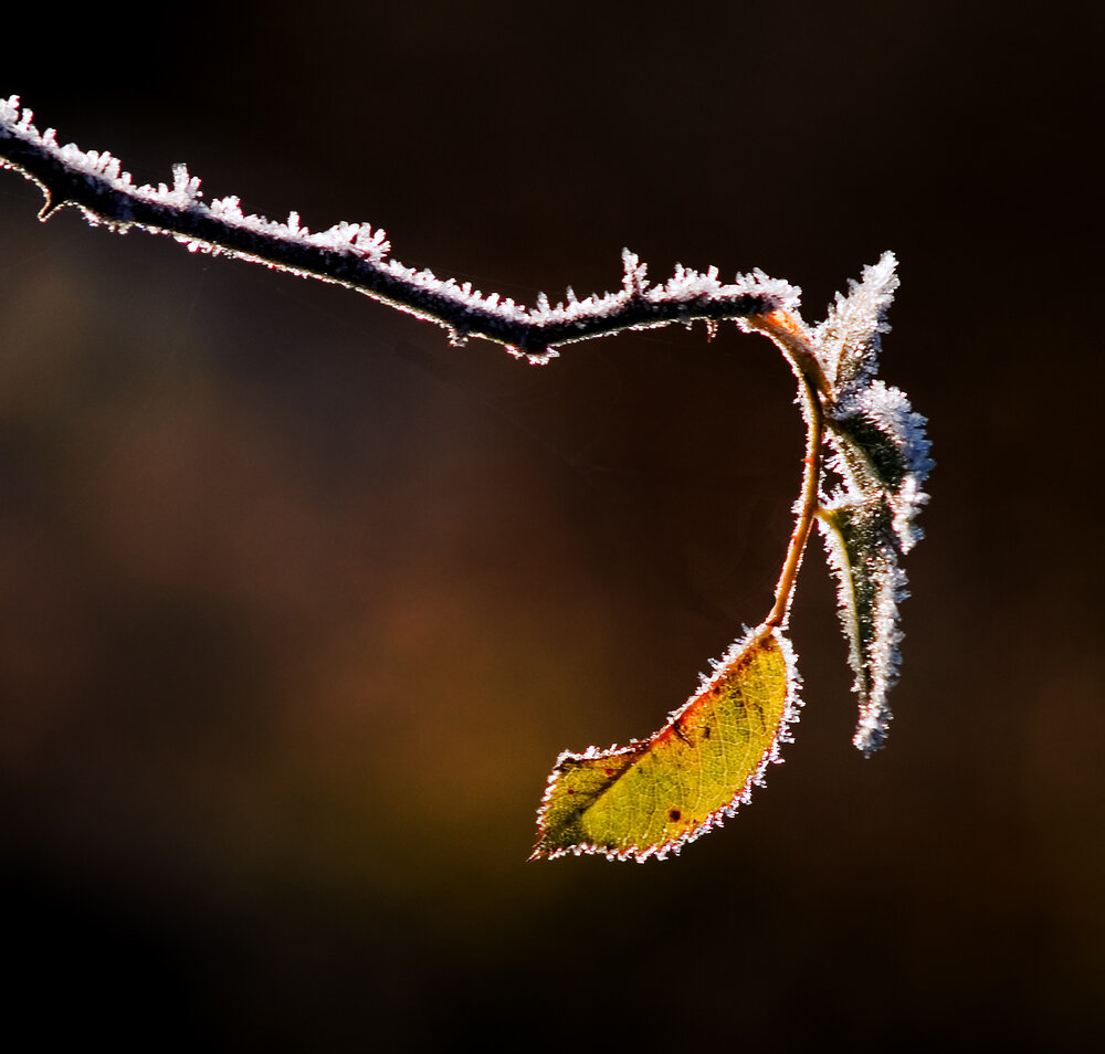 Photograph by Agita Leimane