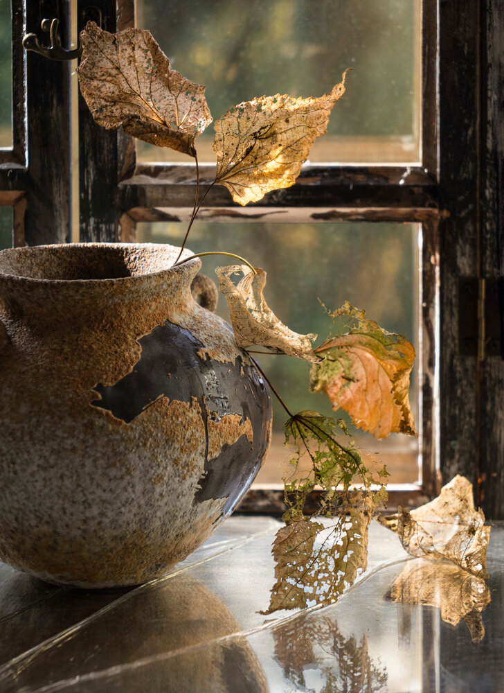 Photograph by Olga Schmidt