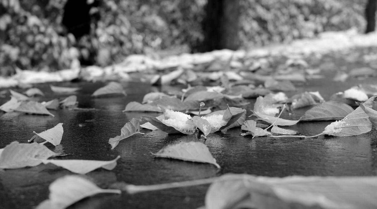 Photo #14118227