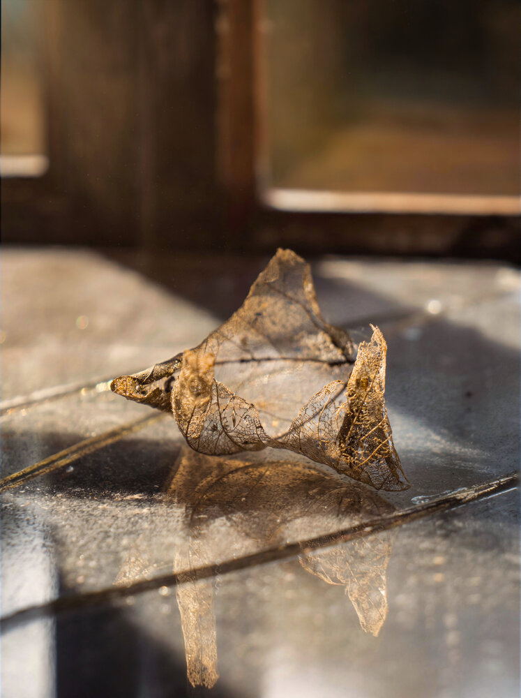 Photograph by Olga Schmidt