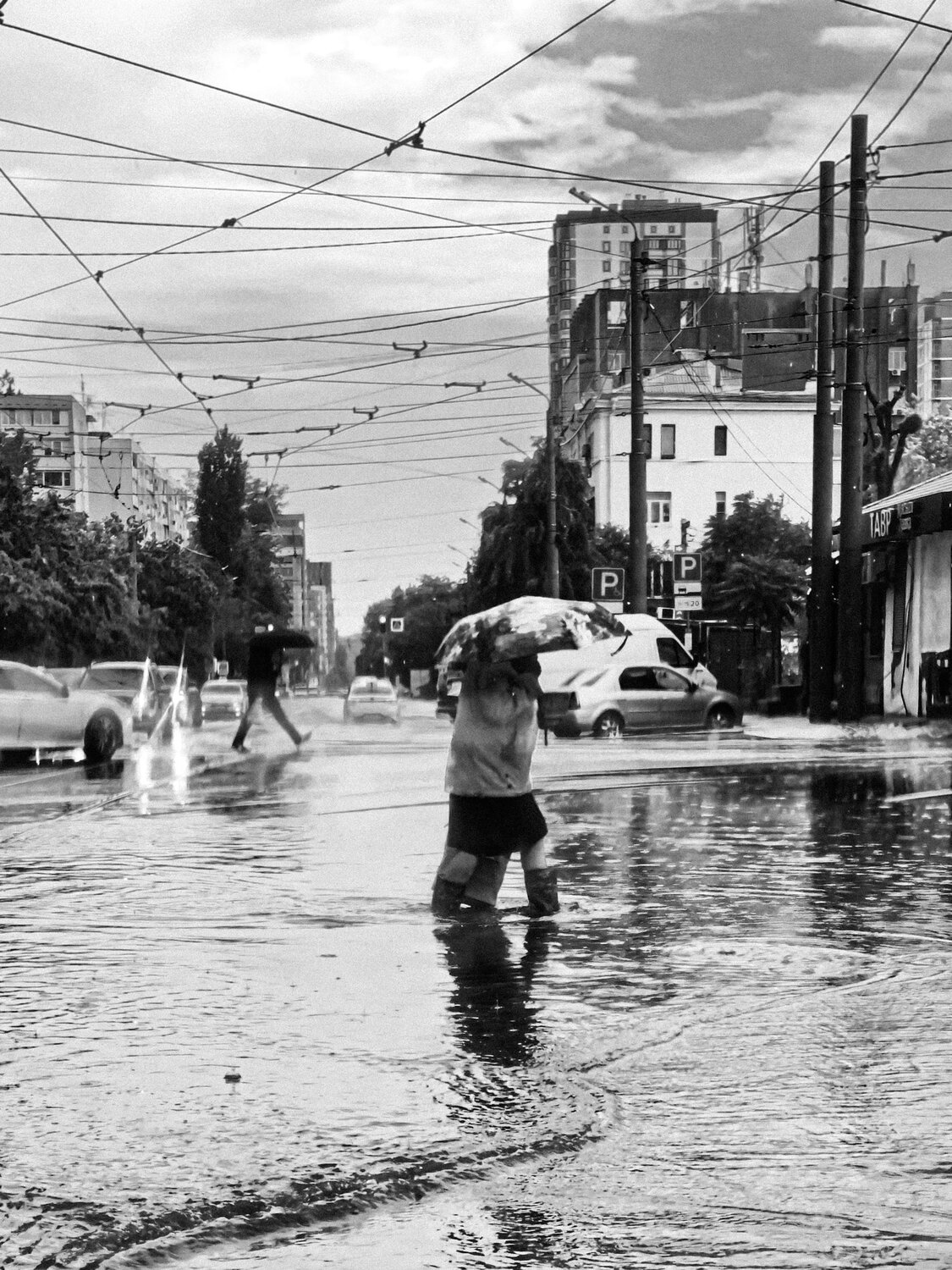 Photo #14118363
