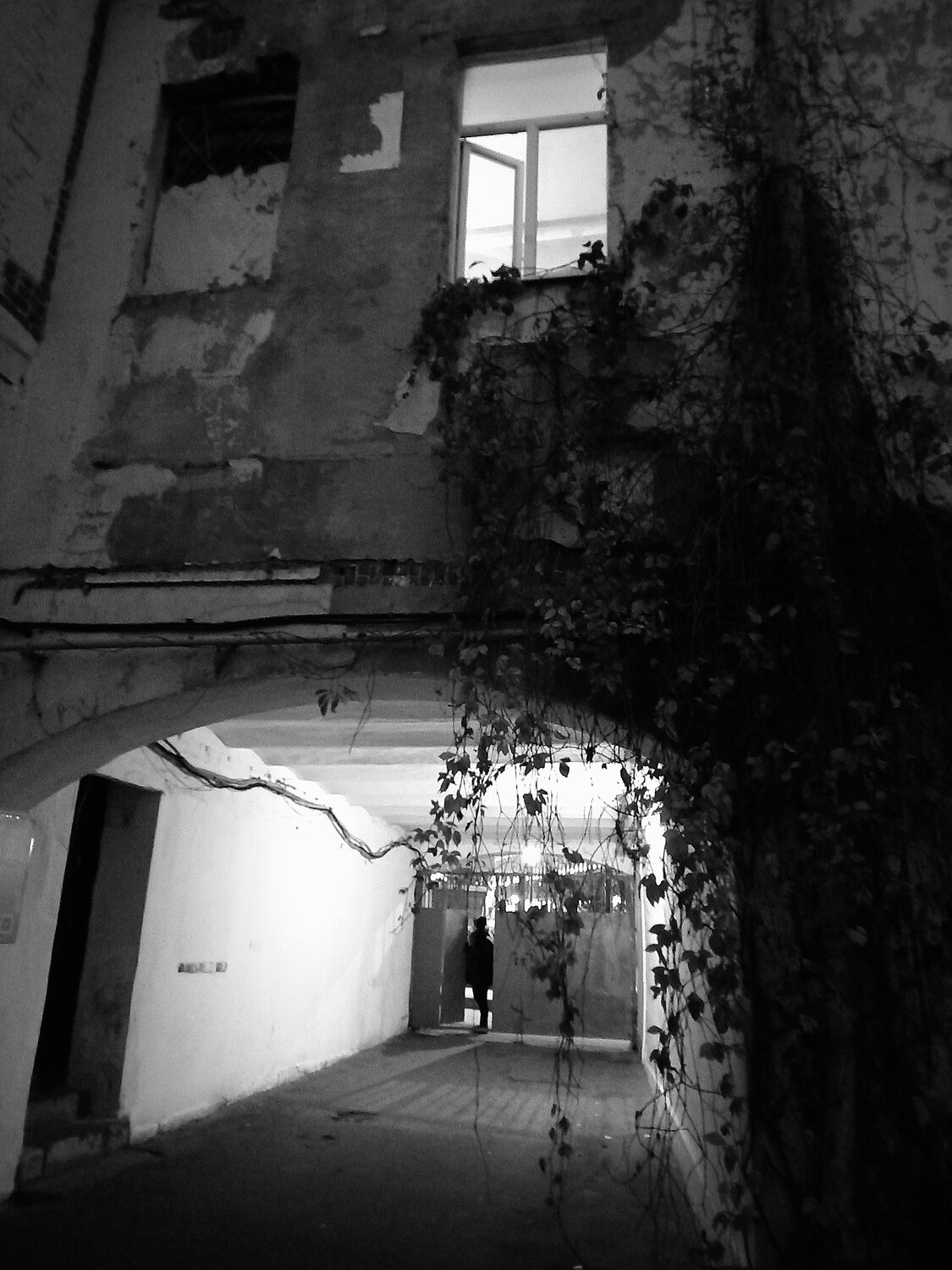 Photo #14118375