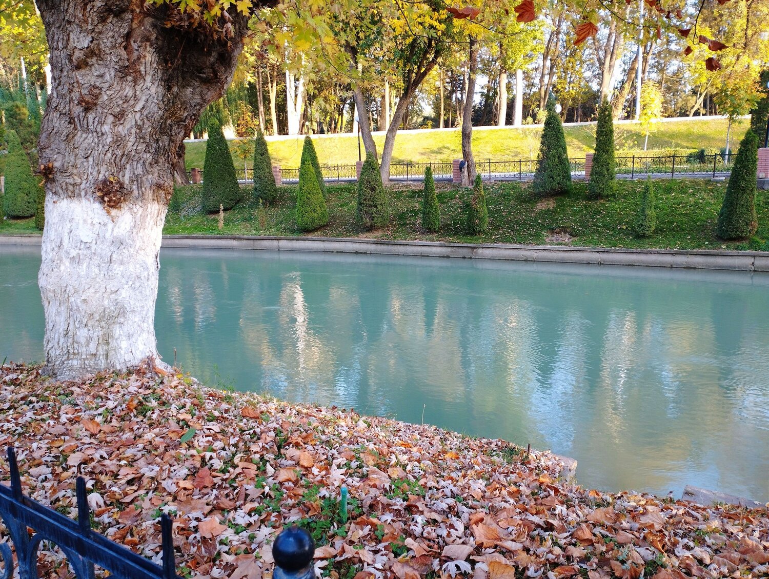 Photo #14118497