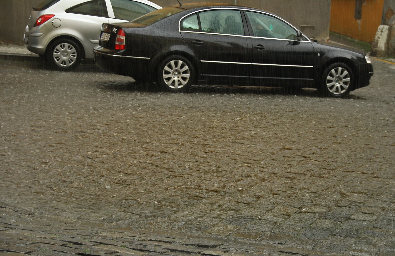 Photo #14118502