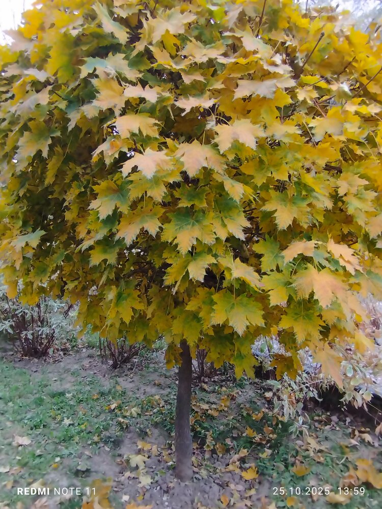 Photograph by Ольга Селезнева