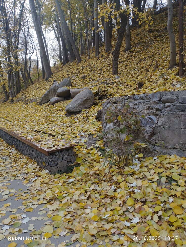 Photograph by Ольга Селезнева