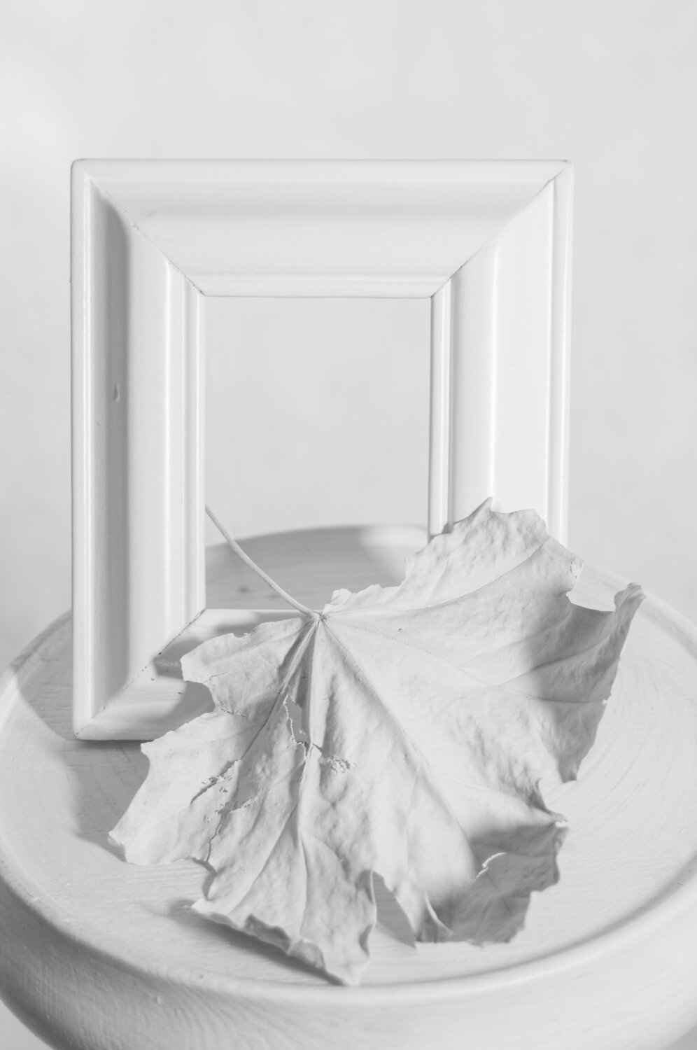 Photo #14118648
