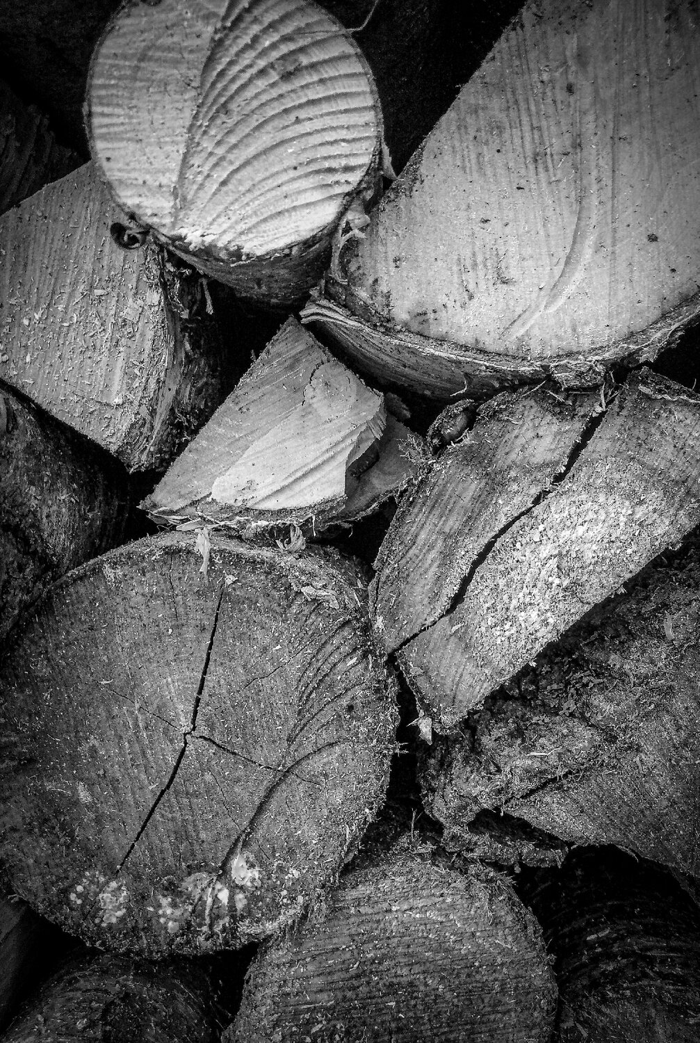 Photo #14118656