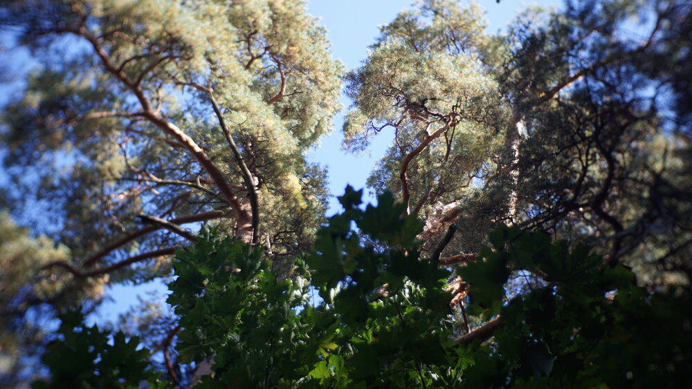 Photograph by Виталий Поломошнов