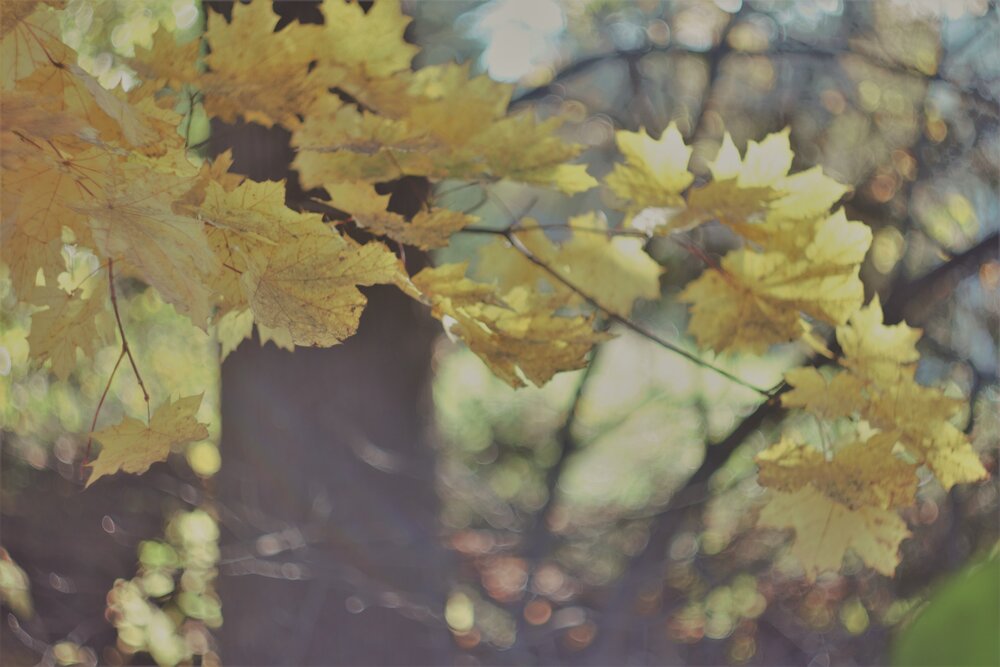Photograph by Наталья Веряскина