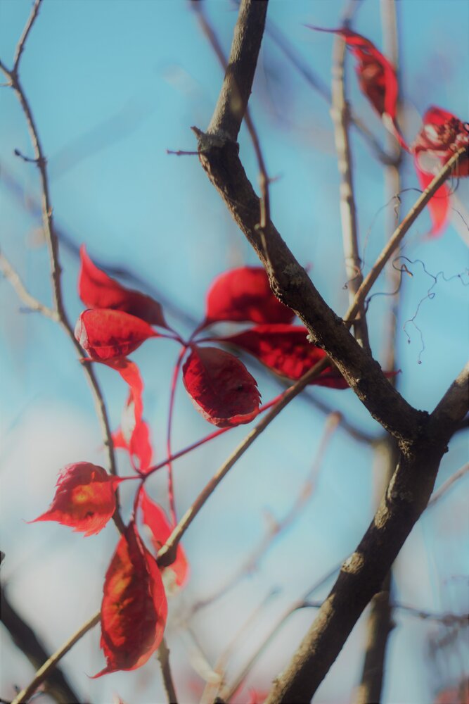 Photograph by Наталья Веряскина