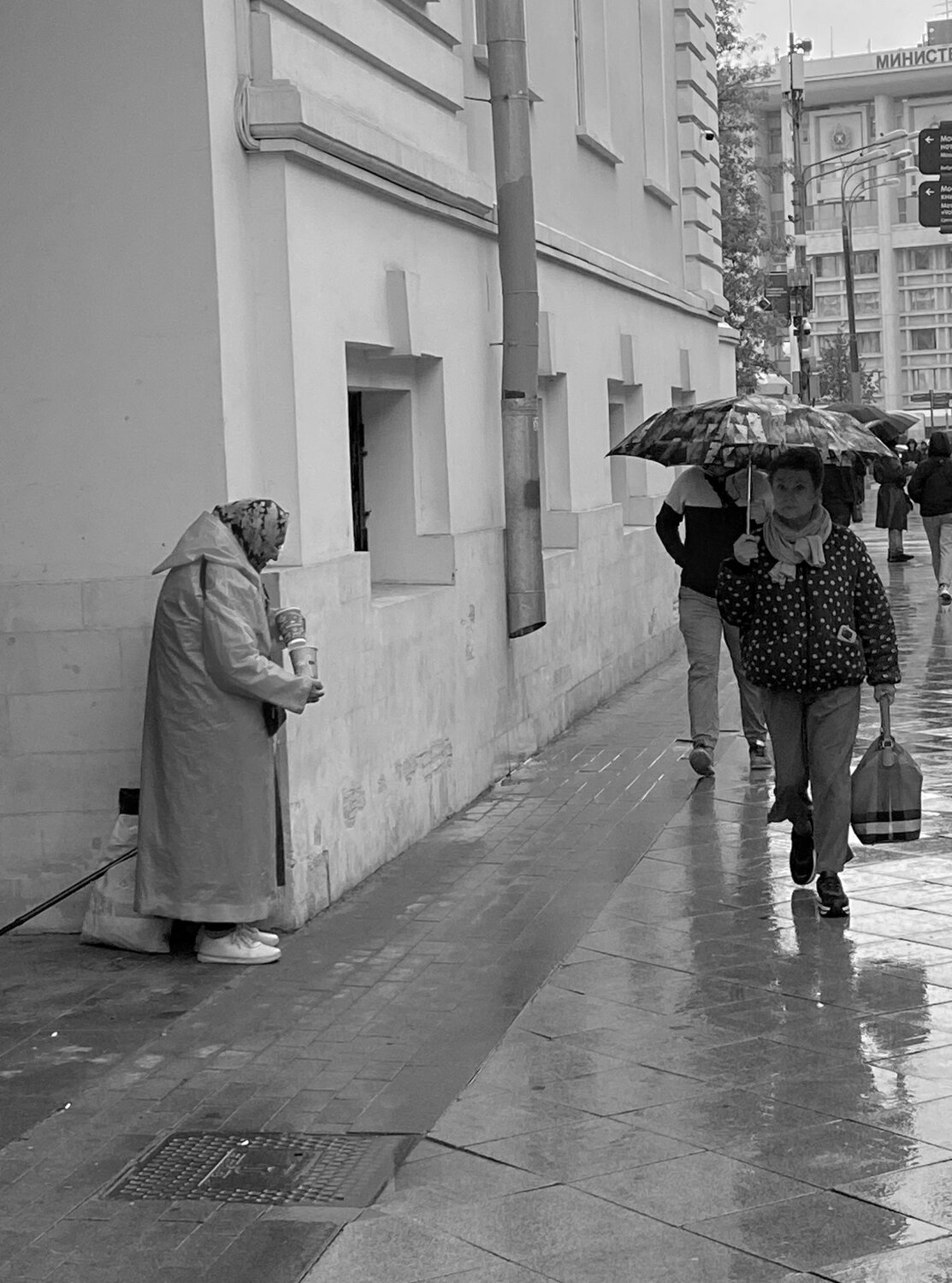 Photo #14118828