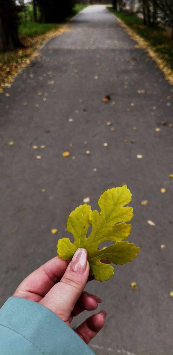 Photo #14118842