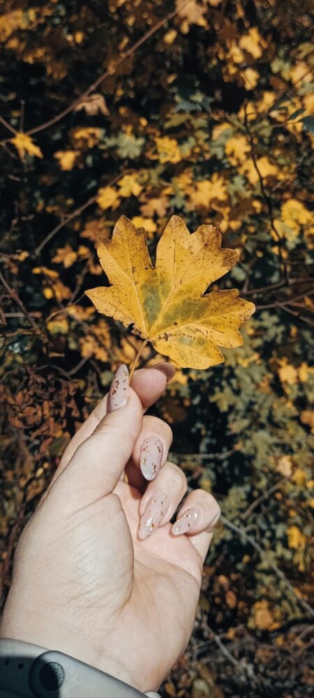 Photograph by Анастасия Смирнова