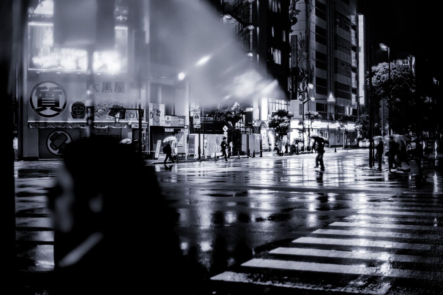 Photo #14118920