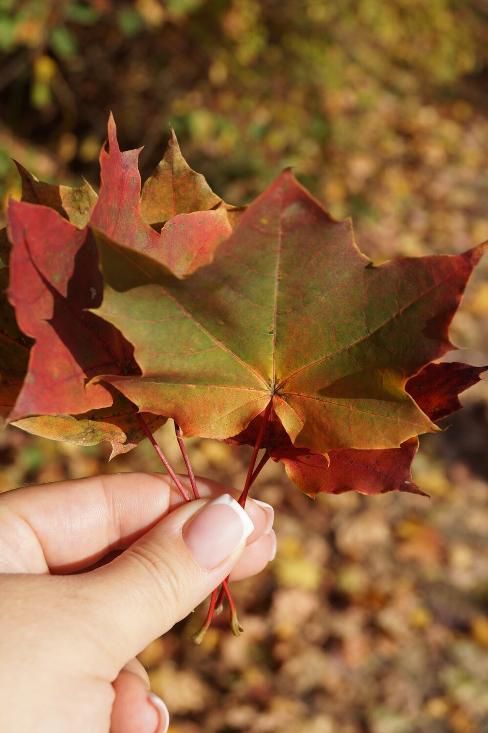 Photo #14119063
