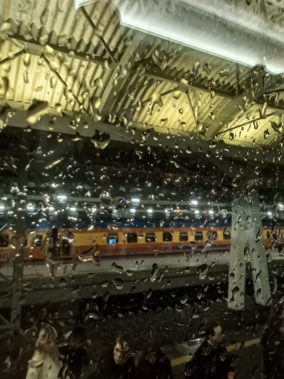 Photo #14119080