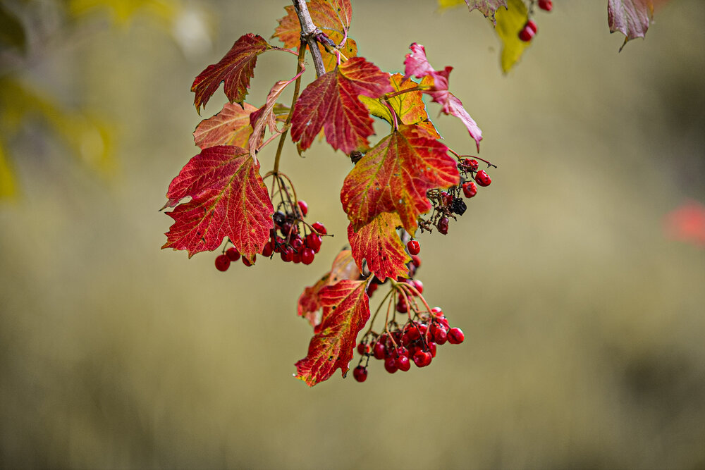 Photograph by Лупина Михаил