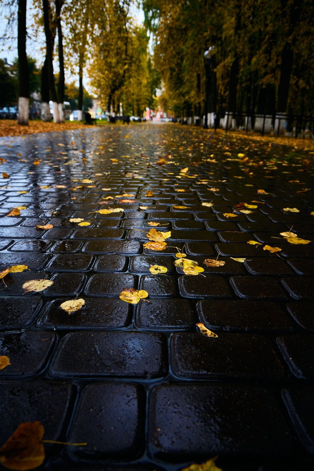 Фотография #14119310