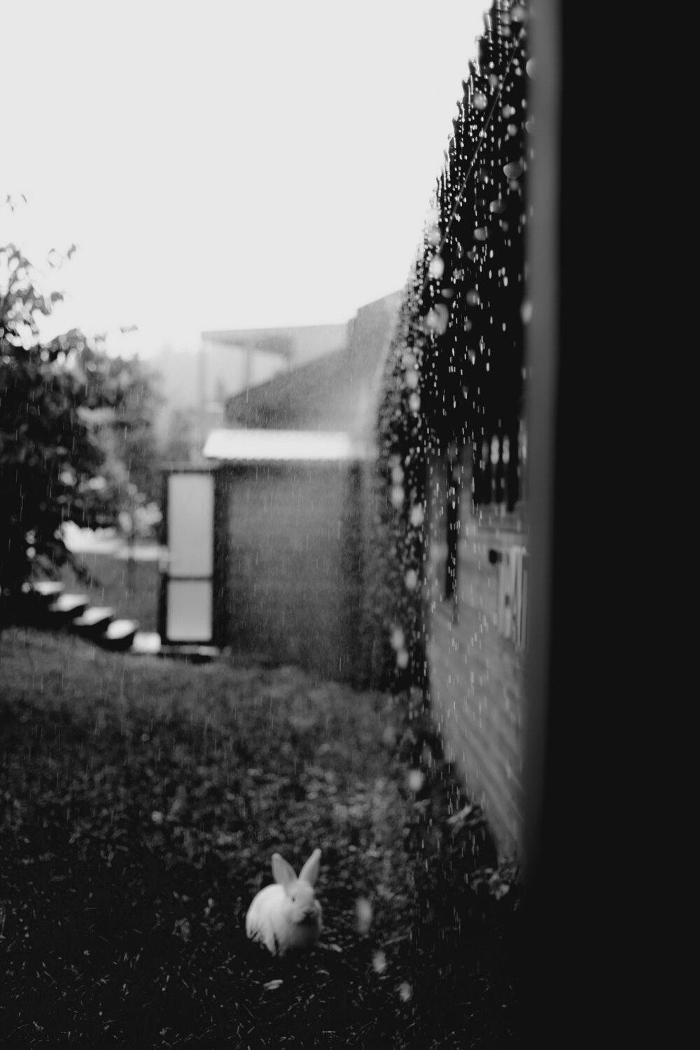 Photo #14119336