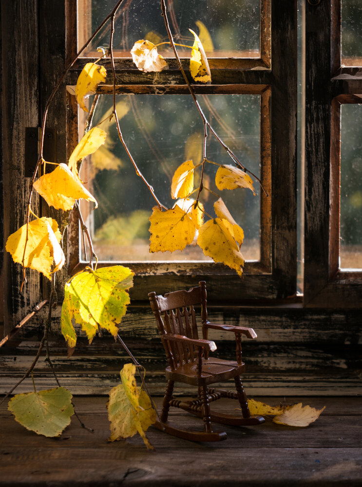 Photograph by Olga Schmidt