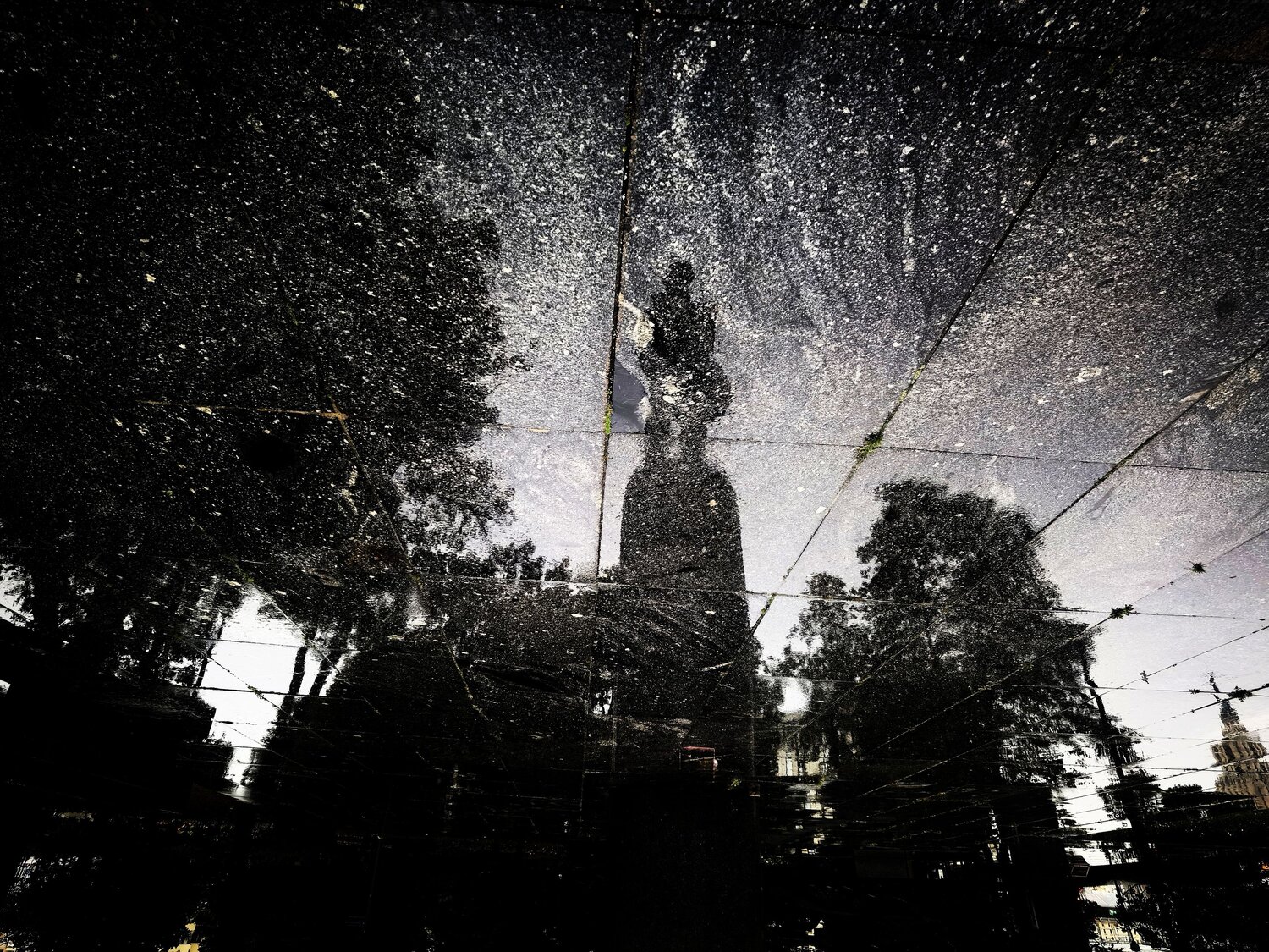 Photo #14119425