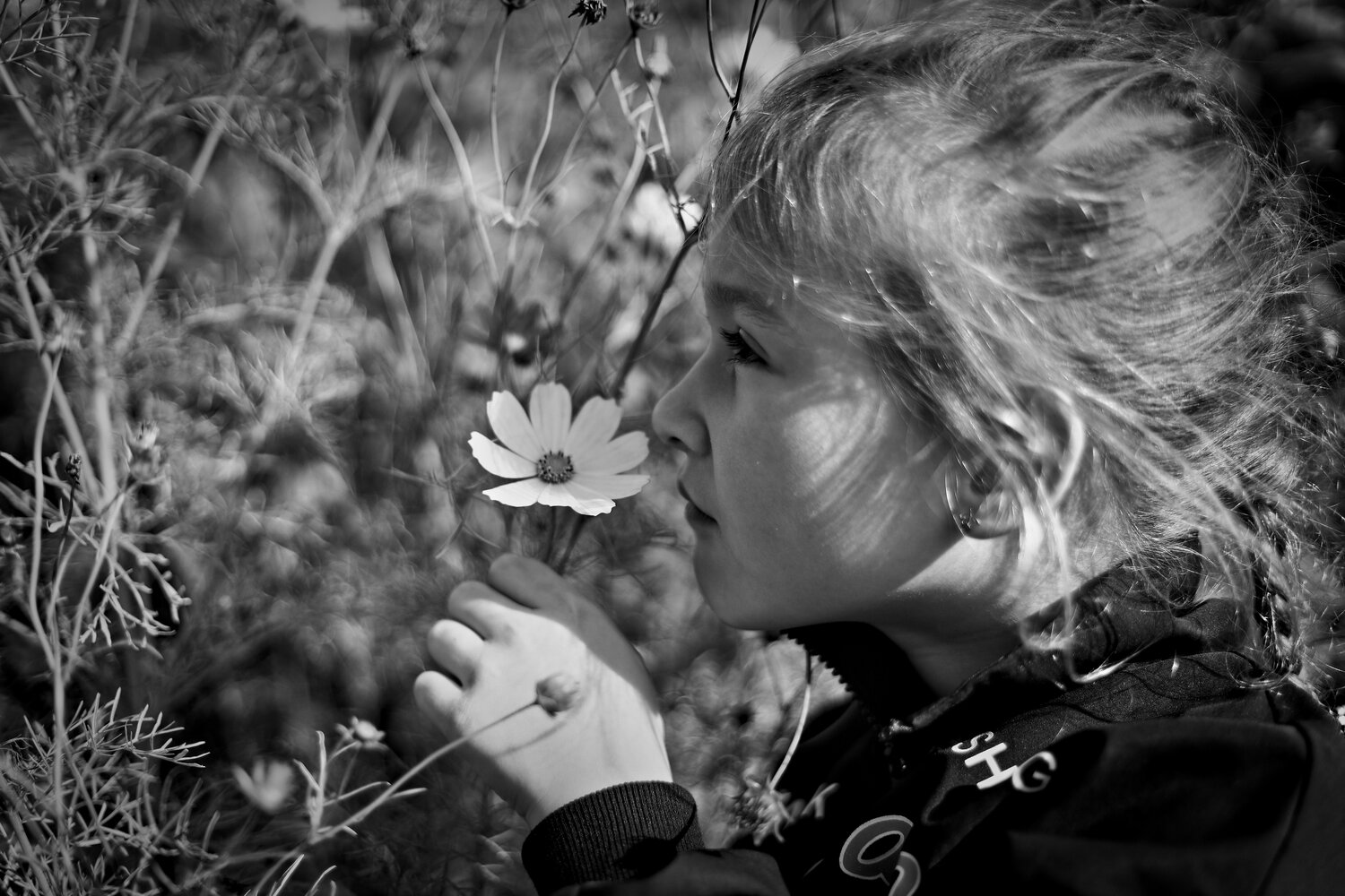 Photo #14119448