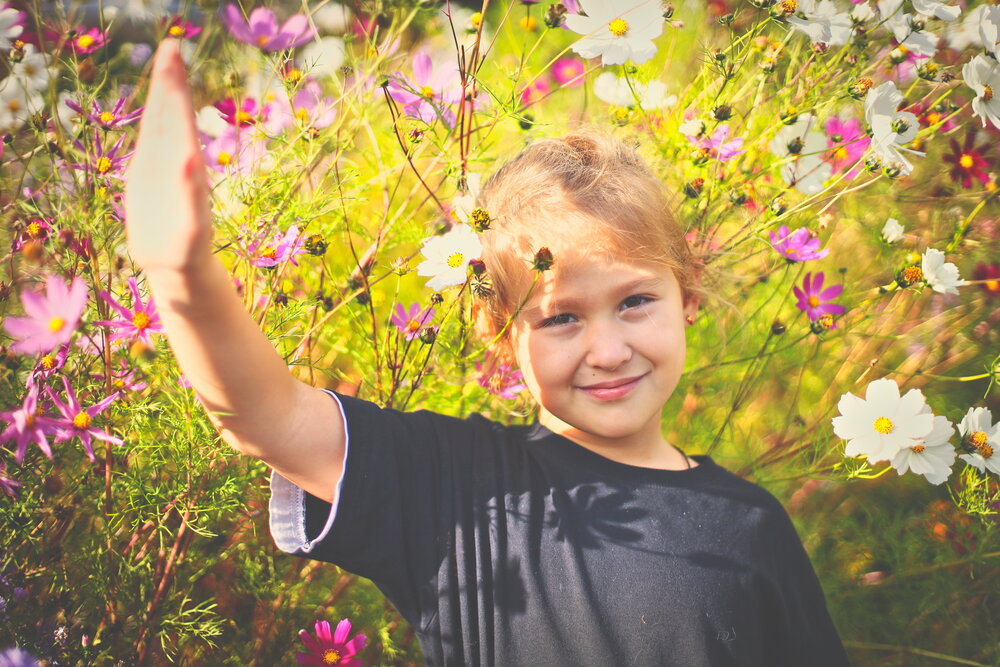 Photo #14119456