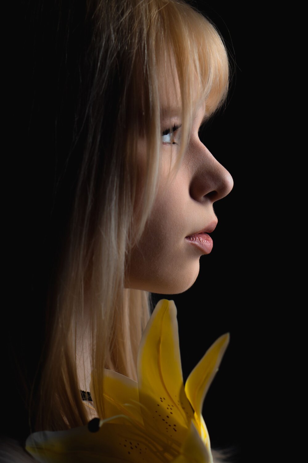 Photo #14119504
