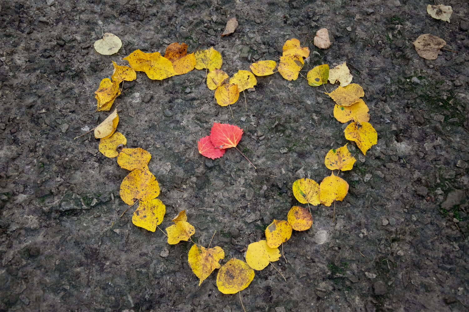Photo #14119554