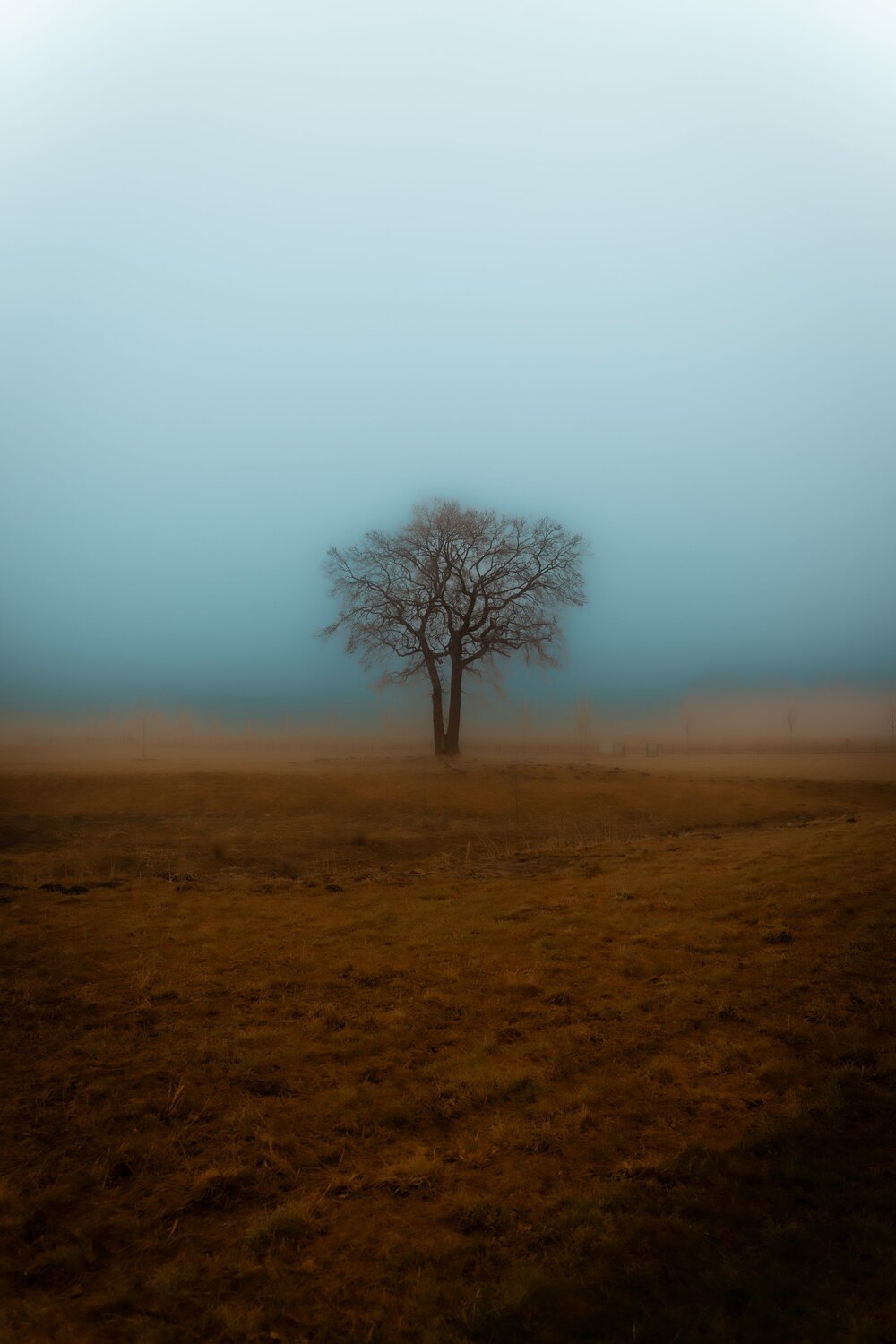 Photo #14119654