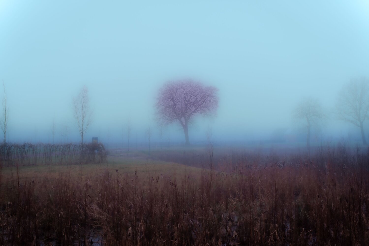 Photo #14119658