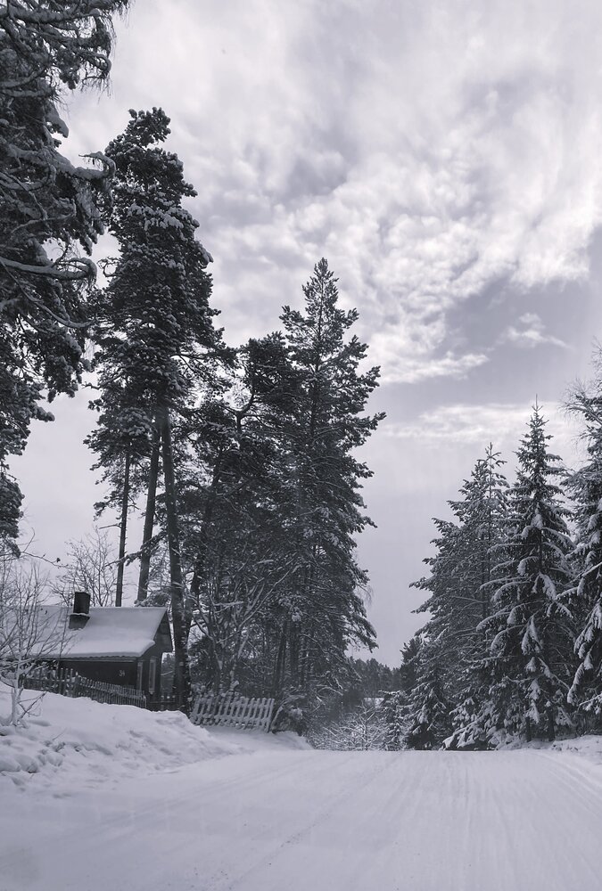 Photograph by Светлана Шупенько