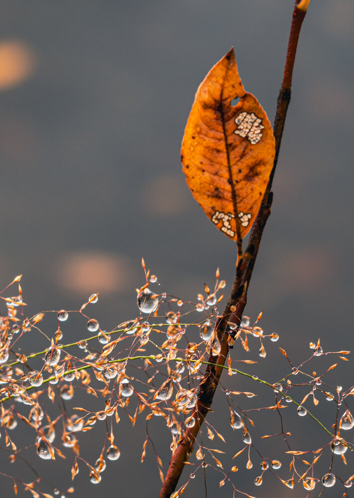 Photograph by Шейко Анна