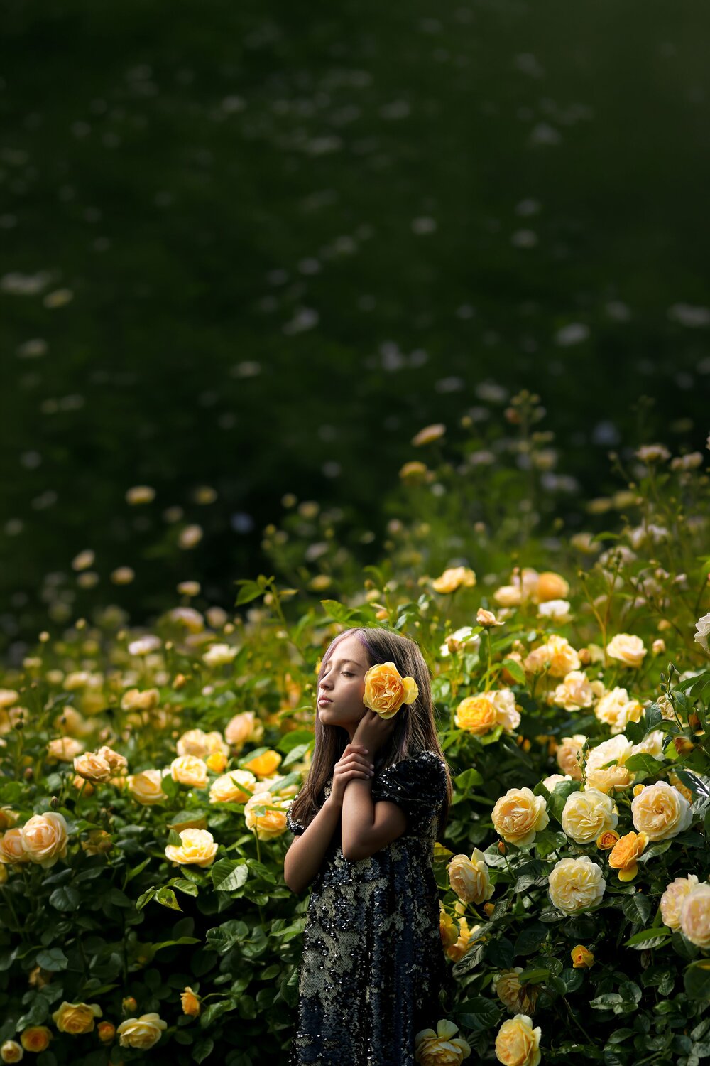 Where Silence Blooms