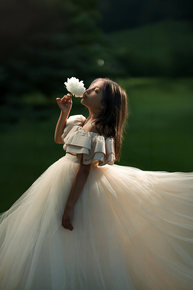 A Whisper of Light