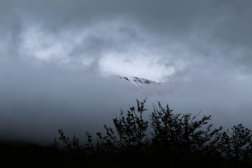 In The Mist