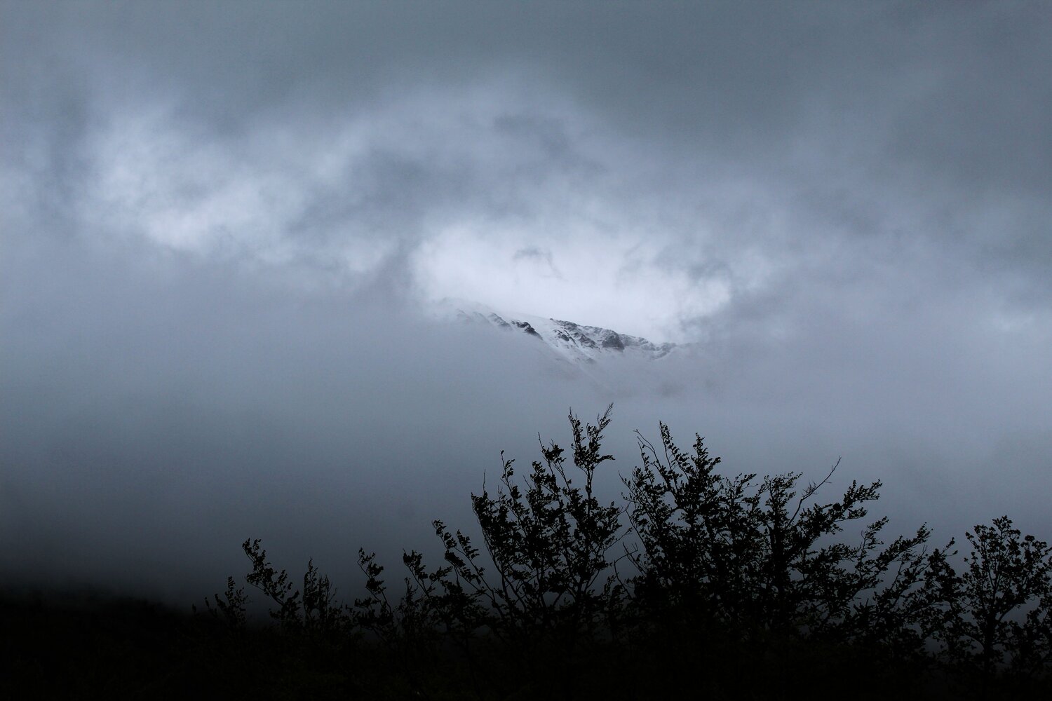 In The Mist
