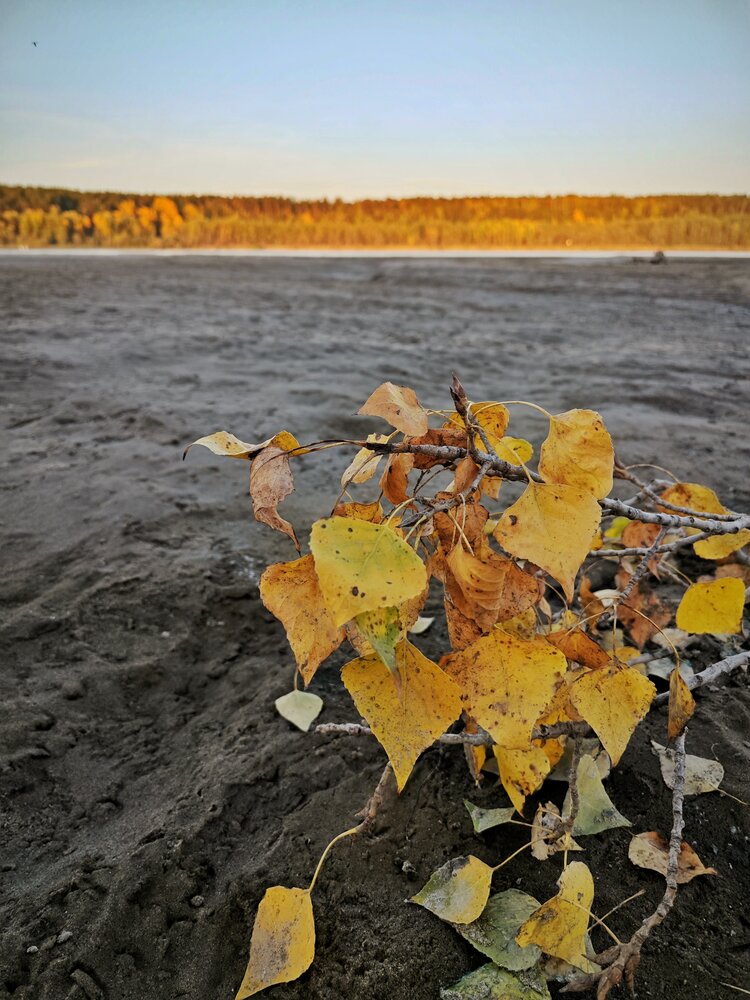Photograph by Евгения Владимировна