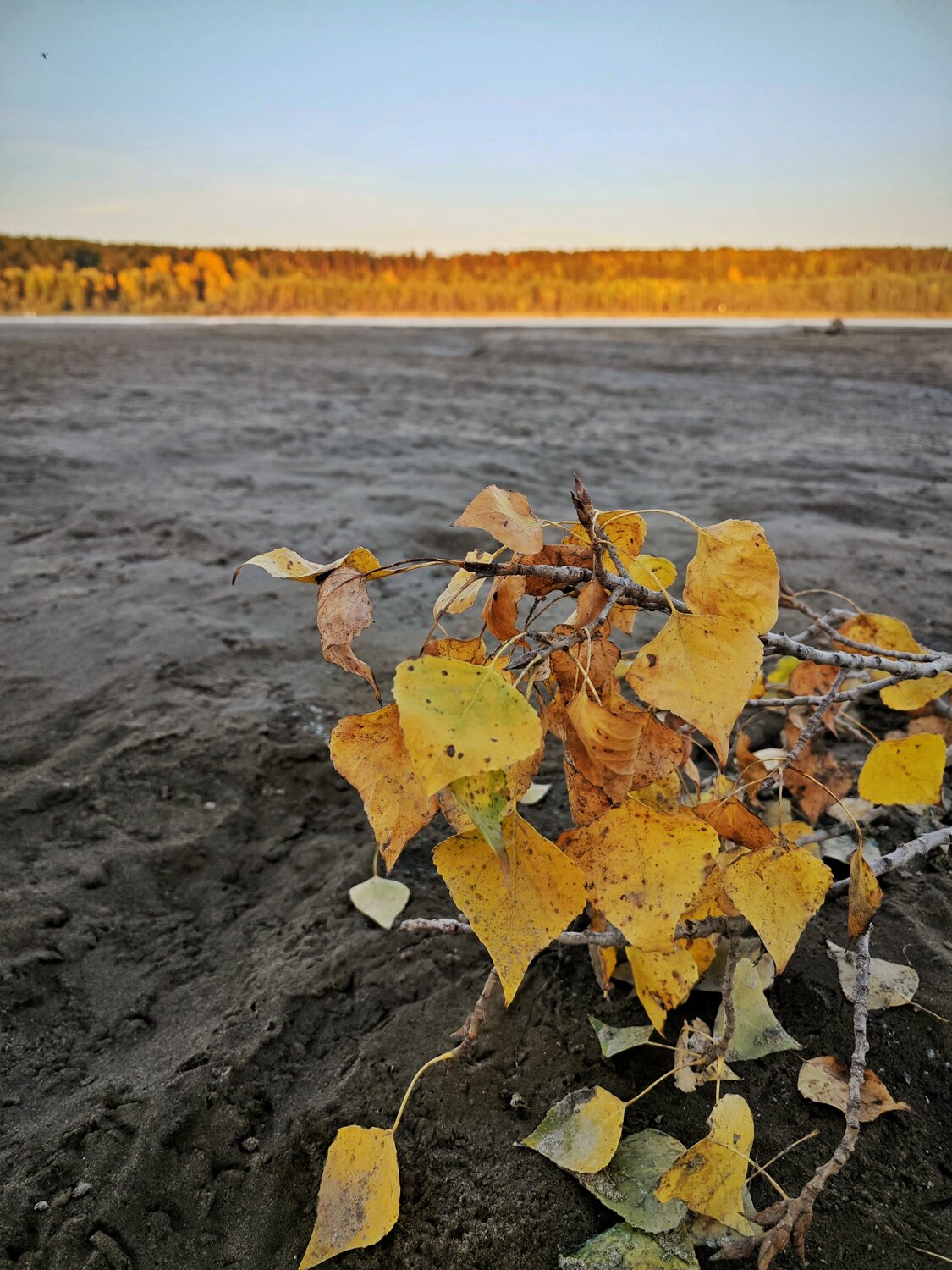 Photo #14120245
