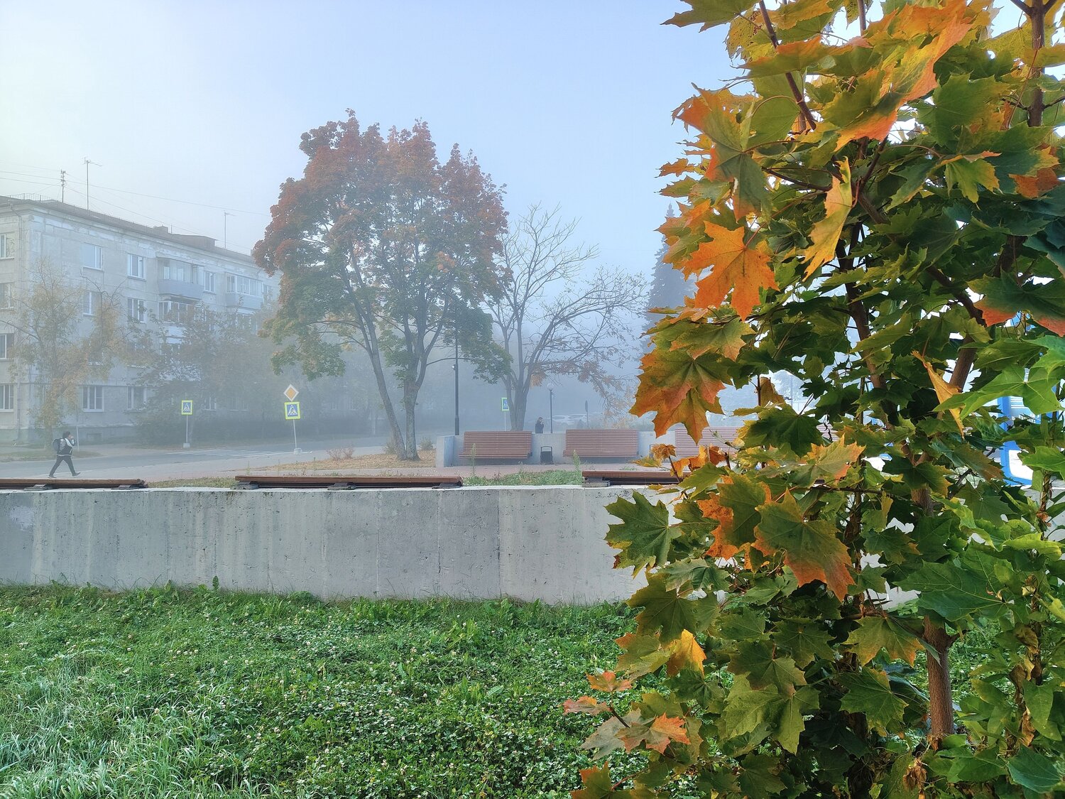 Photo #14120250