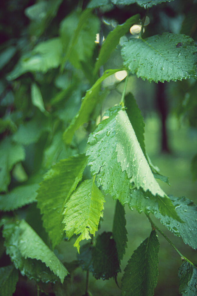 Photograph by Александр Черепанов