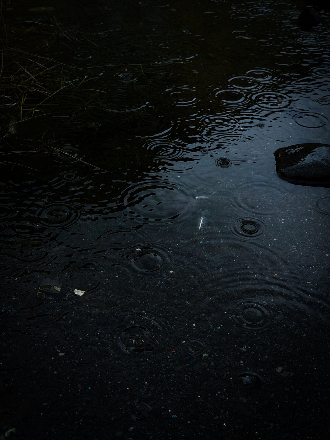 Photo #14120343