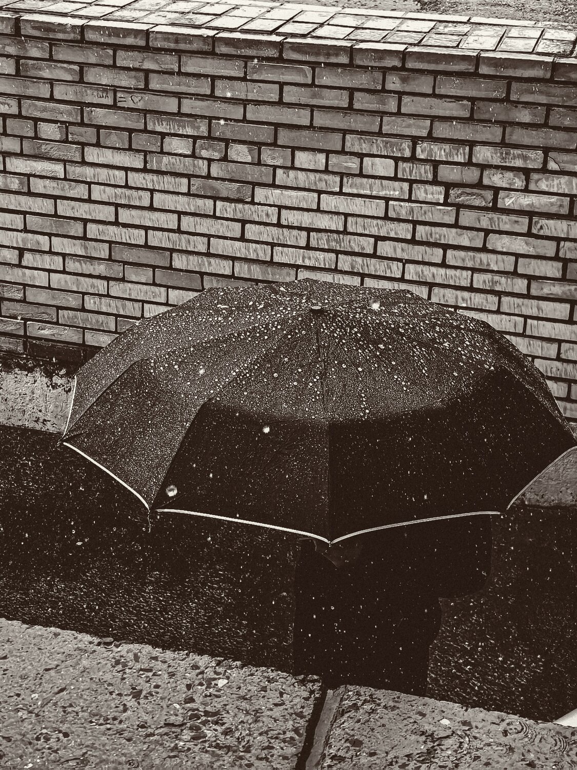 Photo #14120627