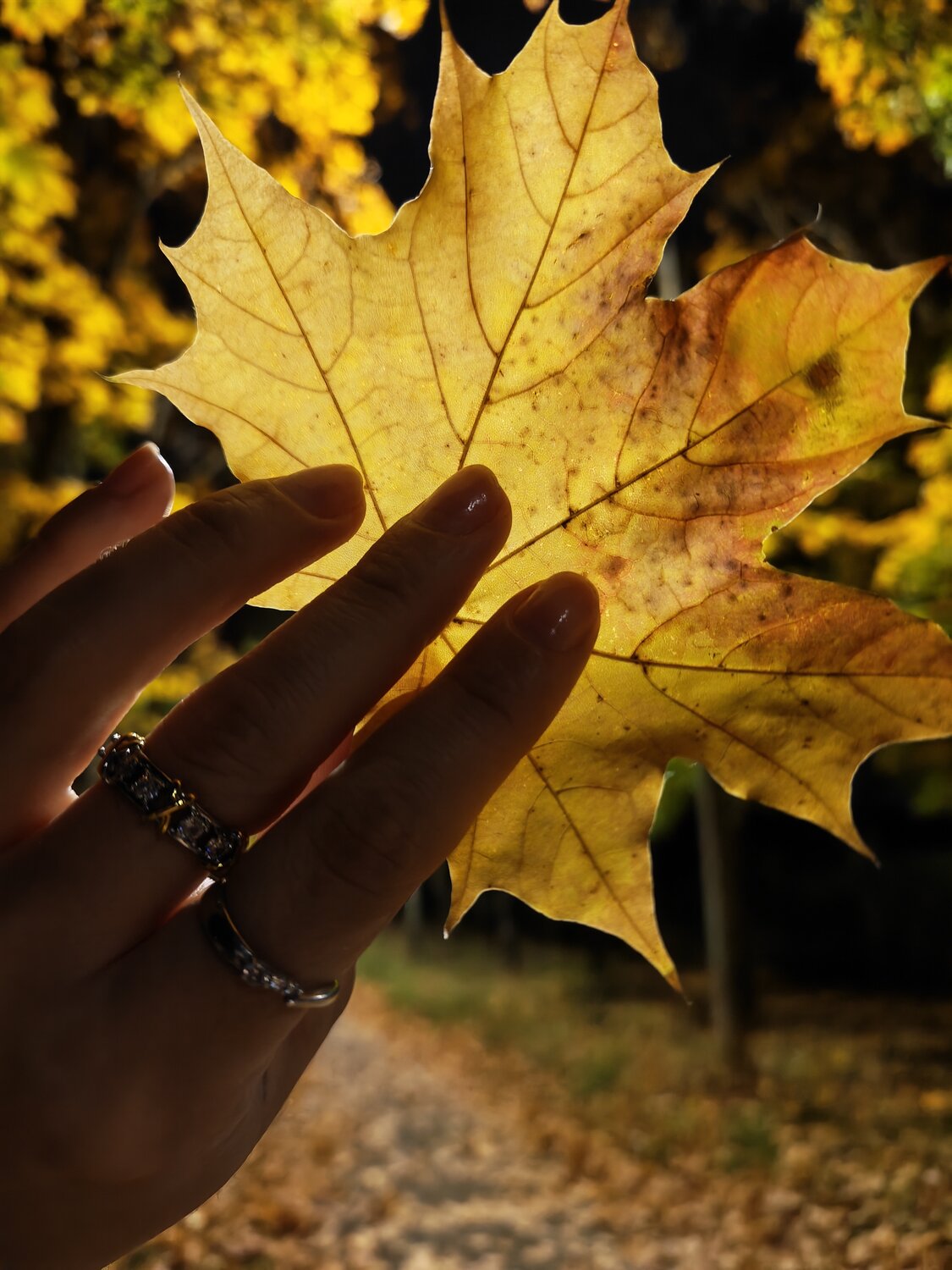 Photo #14120641
